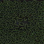 Mr Scruff – Render Me feat. Denis Jones (Andrés Remix)